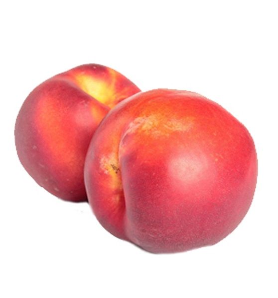 Nectarine from 이란 supplied by Vitarad Group Co. - Whole 신선 천도복숭아