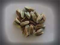 Pistachio from Turkiye supplied by Emre Fistik - In-shell Pistachio Kernel