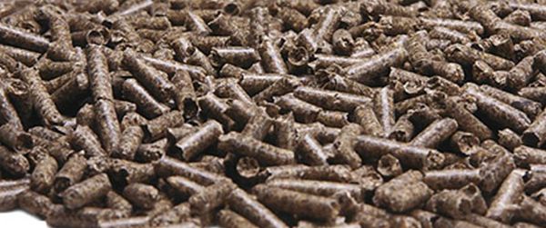 Beet Pulp Pellet from 미국 supplied by American Crystal Sugar Company - Pulp 비트펄프
