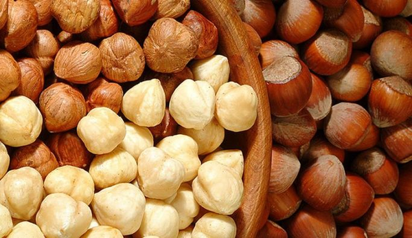 Hazelnut from 튀르키예 supplied by SARP AJANS - Giresun 헤이즐넛 알맹이