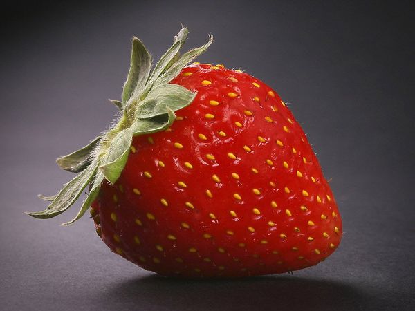 IQF Strawberry from 이집트 supplied by Green Valley For Import & Export - Red 신선 딸기