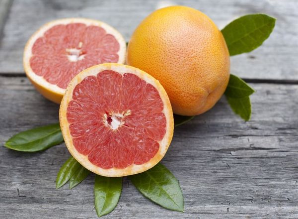 organic grapefruit from United States supplied by SUNRISE FARMS - Whole Fresh Grapefruit