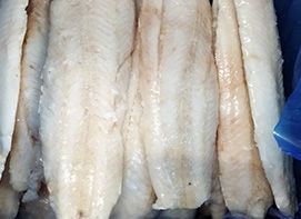 Frozen Hoki from 중국 supplied by Haimeng Food Ltd - Boneless (=Without Bone=Deboned) 냉동 헤이크