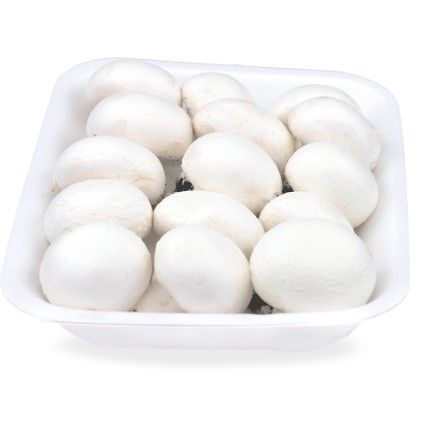 Fresh White Mushroom from Spain supplied by Neofungi Group - White Fresh White Mushroom