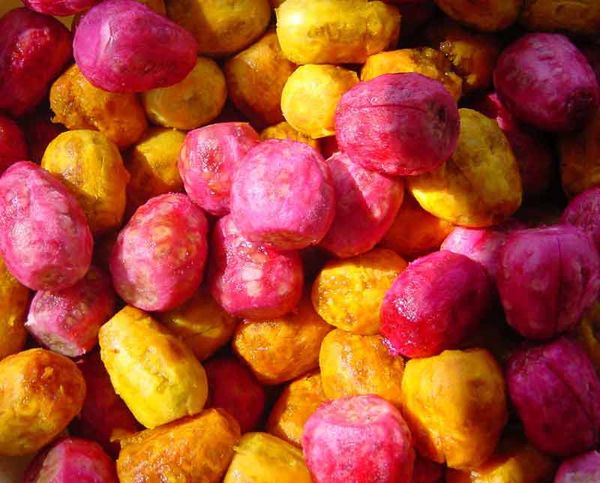 Prickly pears from 이탈리아 supplied by Coa srl - Whole 프리클리페어