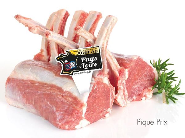 Raw Lamb from 프랑스 supplied by SOVILEG SA - Without Legs 양고기