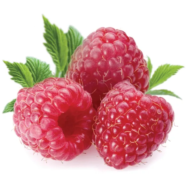 Raspberry from 스위스 supplied by Ronin Food - Whole 신선 라즈베리