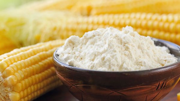 Corn Starch from 남아프리카공화국 supplied by Irwing Soya - White 옥수수 전분