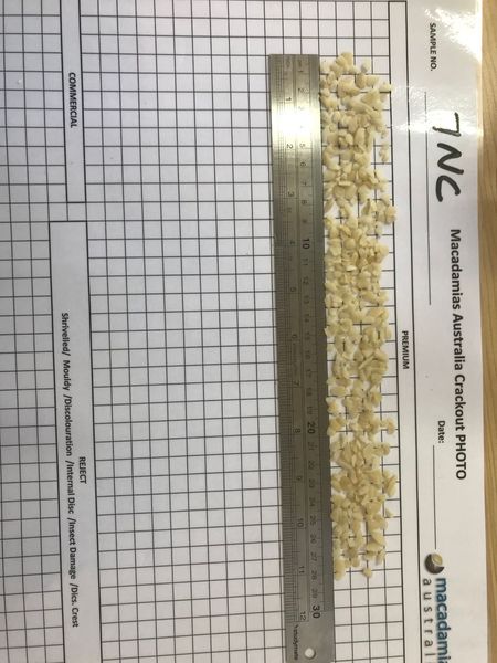 Macadamia from 호주 supplied by Macadamias Australia Pty Ltd - Premium Quality 마카다미아 알맹이