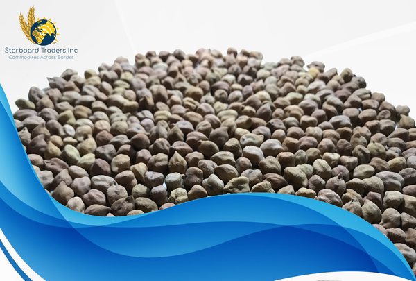 Desi Chickpeas from 호주 supplied by Starboard Traders Inc. - Round 말린 병아리콩