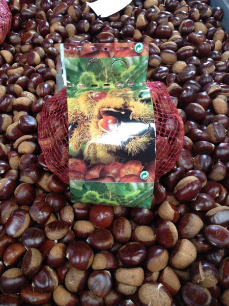 Chestnut from 포르투갈 supplied by Emergosol Lda. - Jute Bag (25kg) 밤 알맹이