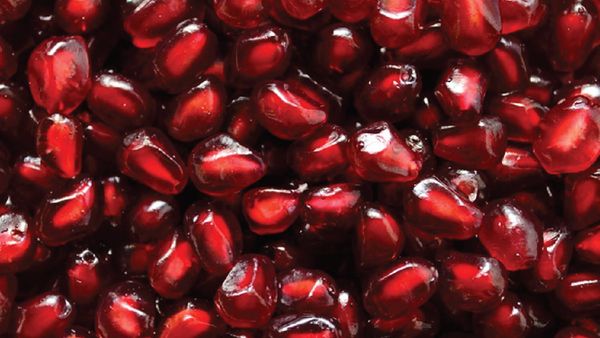 Frozen Pomegranate Seed from 인도 supplied by Swadhika Foods - Frozen 석류 씨