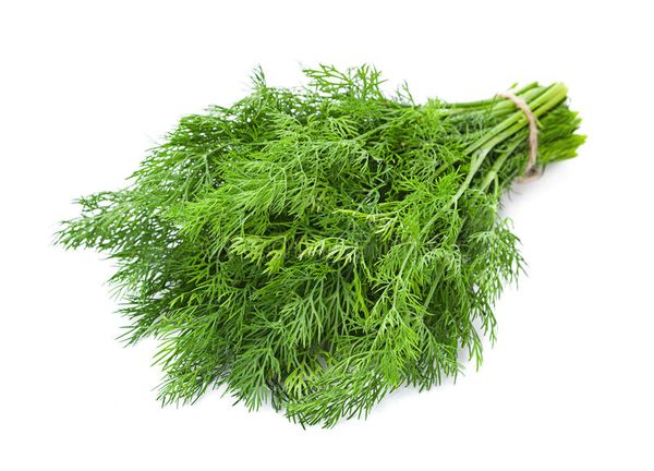 Dill from 독일 supplied by Dreesen Fresh Herbs GmbH & Co. KG - Leaf 딜