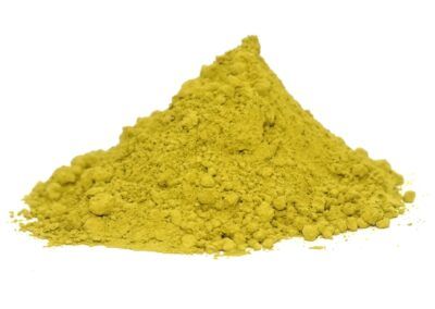 Moringa powder from India supplied by CULTIVATOR NATURAL PRODUCTS PVT. LTD. - Powder Moringa