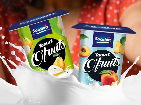 Yoghurt from 마다가스카르 supplied by SOCOLAIT - Cow 요구르트