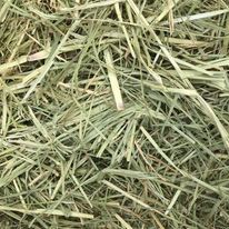 Oaten Hay from 호주 supplied by Aldahra Glenvar Hay - Oaten/Rye 건초