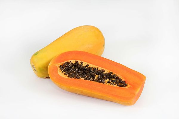 Papaya from 도미니카공화국 supplied by KP EXPORT SRL - Fresh (=Chilled) 신선 파파야