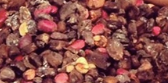 Kola Nuts from Ivory Coast supplied by AFRECO - Whole Kola Nut