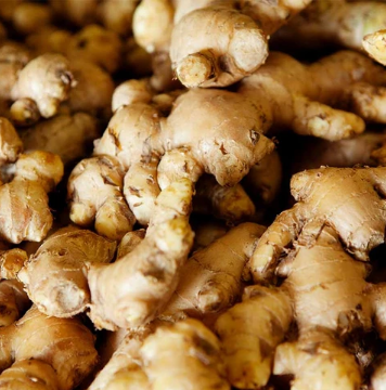 Ginger from 미국 supplied by A&A Organic Farms - Brown 통생강