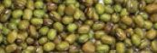 Mungo Bean from 아르헨티나 supplied by Kallpay S.A. - Green 말린 녹두