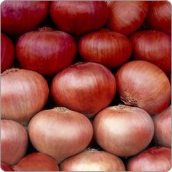 Onion from Singapore supplied by Ponna Trading Private Limited - Pearl Onion