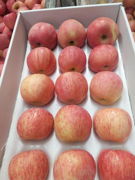 Apple from 중국 supplied by Beijing Feng Shen International Trade Co., Ltd - Whole 신선 사과