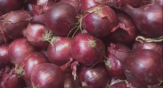 Onion from Spain supplied by Sola Onions Group - CEBOLLAS SOLA - Peeled Fresh Onion