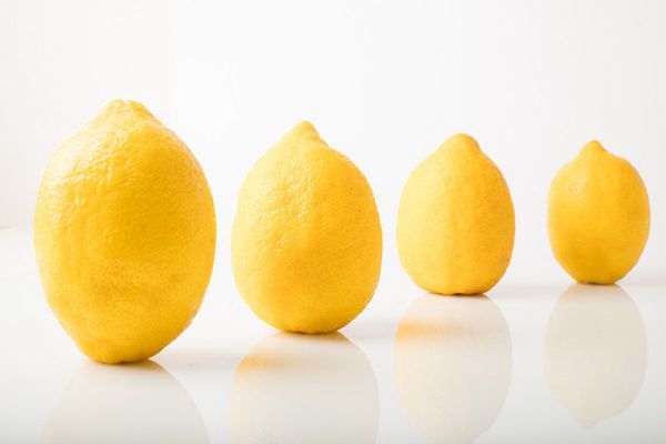 Mafra Lemon from 포르투갈 supplied by Cooperativa Agrícola de Hortofruticultores do Oeste, CRL - Yellow 신선 레몬