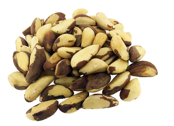 Brazil Nut from United States supplied by Jollies Food Company - Shelled (=Kernel) Brazil Nut Kernel