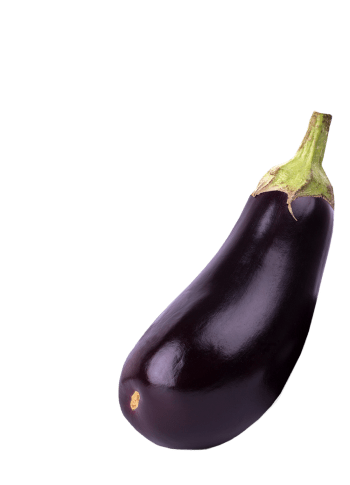 Eggplant from Netherlands supplied by Combilo - Purple (=Violet) Eggplant