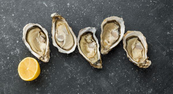 Oysters from United Kingdom supplied by King Foods - Whole (=In Shell=Unshucked) Fresh Oyster