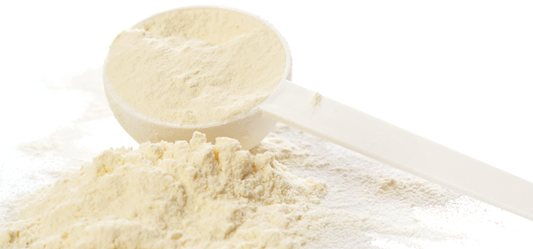 Whey Powder from 폴란드 supplied by Polser Sp. z o.o. - Sweet Whey Powder (=SWP) 분말훼이