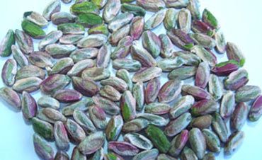 Pistachio from Turkiye supplied by Assa Fistik - In-shell Pistachio Kernel