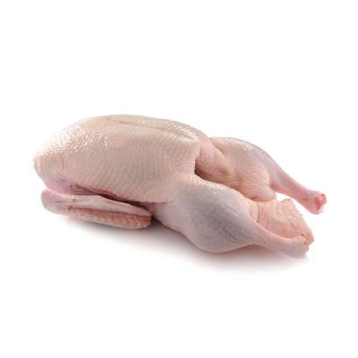 Duck Meat from 말레이시아 supplied by Pembekal Telur Itik Terengganu - Vacuum Packed (=VAC) 오리고기