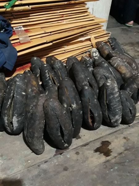 Sea Cucumber from 인도네시아 supplied by PT. Prabawana Lestari - Whole 기타 수산물 가공품