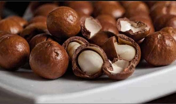 Raw Macadamia from 호주 supplied by THE ROASTING COMPANY LTD - Whole Kernel 마카다미아 알맹이