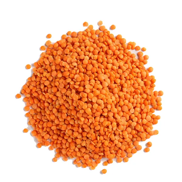 Lentil from 폴란드 supplied by Agro Profit - Dried (=Dehydrated) 말린 렌틸