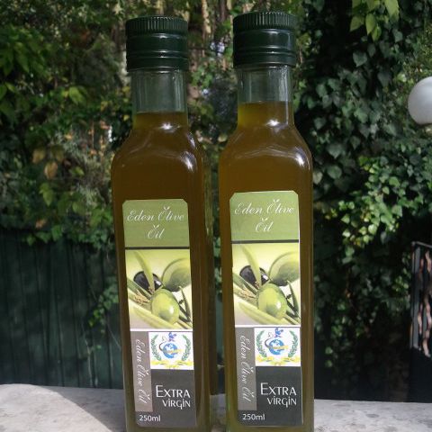 Olive Oil from Tunisia supplied by Abou Walid Group - Chemlali Olive Oil