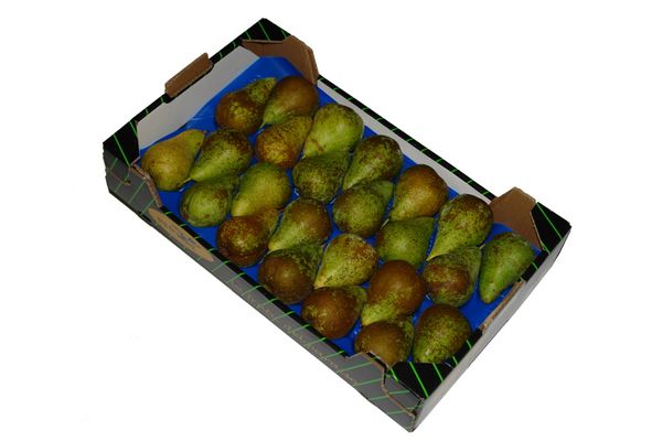 Fresh Whole Pear from Spain supplied by Global Hmg Sat 9997 - Carton Box (=Cardboard Box) Fresh Pear