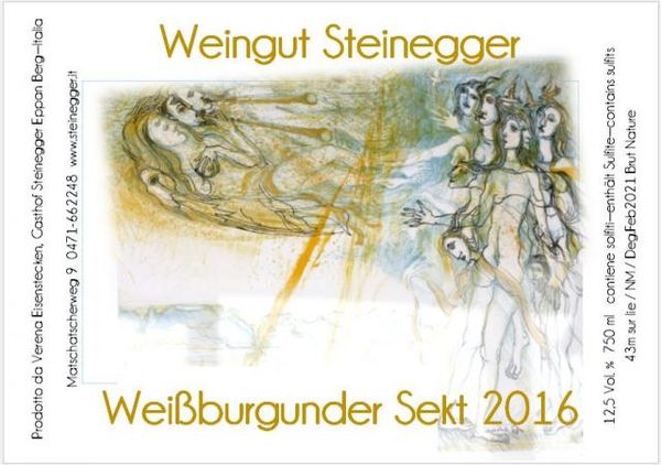 Weißburgunder Sekt from Italy supplied by Weingut Steinegger - Sparkling Wine