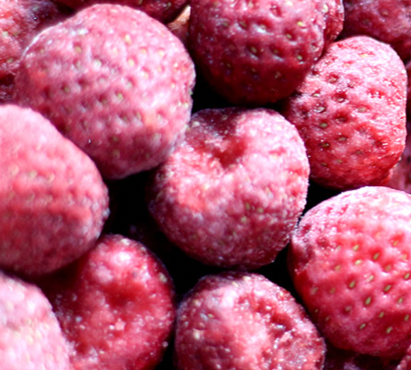 Strawberry from 폴란드 supplied by PPH Fructodor Sp. z o. o. - Diced 신선 딸기