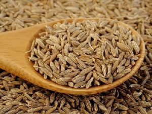 Cumin Seed from 인도 supplied by Shiv ImpEx - Indian Variety - Desi 커민 씨