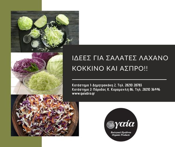 cabbage from Greece supplied by GAIA COOP. OF CONS. PROD. SYN.PE. - Red Cabbage (=Purple cabbage) Fresh Cabbage