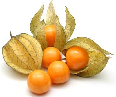 Physalis/Cape gooseberry from 콜롬비아 supplied by Caribbean Exotics - Carton Box (=Cardboard Box) 케이프 구스베리