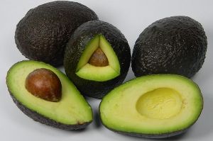fresh avocados from 독일 supplied by Hermann Albers Obst & Gemüse GmbH - Fresh (=Chilled) 신선 아보카도