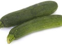 Fresh Zucchini from India supplied by Jubilant Consumer Private Limited - Conventional Fresh Zucchini