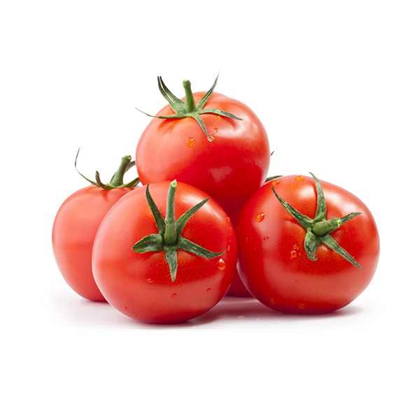 Fresh Tomato from 튀르키예 supplied by Narsu Icecek Sanayi Ticaret Anonim Sirketi - Whole 신선 토마토