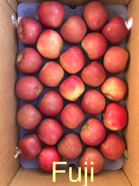 Fresh apples from 튀르키예 supplied by MelodiFruit (EMESA MERMER İÇ VE DIŞ TİC. LTD. ŞTİ) - Carton Box (=Cardboard Box) 신선 사과