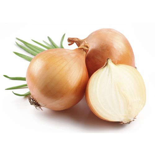 Onion from 아르헨티나 supplied by Proarco Patagonia S.A. - White 신선 양파