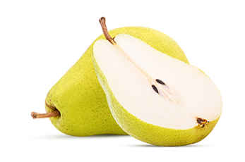 Fresh Pear from 미국 supplied by Rivermaid Trading Company - Beurre D'Anjou (=Anjou=d'Anjou=Green Anjou=Red Anjou) 신선 배